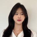허그포레스트 이미지