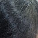 대전딜라이트 보청기 | 대전역보청기 딜라이트보청기의 어린이용보청기 후기