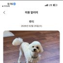 네임드 살롱 이미지