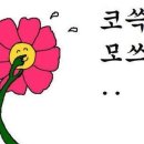 구공카페 이미지