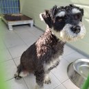 경북동물병원 이미지