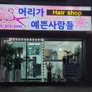 포란제 이미지