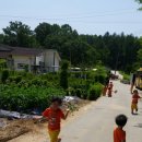 광탄농장 이미지