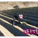 아주1차 이미지