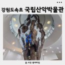 산악박물관 | 속초여행 속초아이와가볼만한곳 아이들 체험이 가득한 국립산악박물관 관람후기