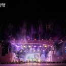 매드니스