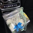 스페셜 퍼피 케이크 이미지