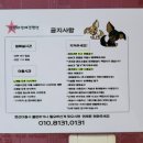 양양 발렌타인 애견펜션 이미지