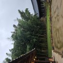 사랑채국밥 | 밀양 숙소 문화객가 사랑채 후기 및 추천 관광지