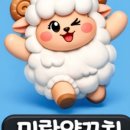 미란양꼬치