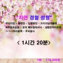 자연테라피