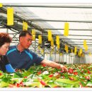 경중농장 이미지