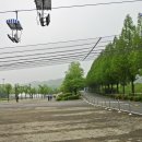 기린06 이미지
