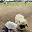 정만목장 이미지