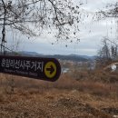 도리1길 이미지