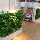 제주중앙여자고등학교 이미지