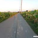 금강경로당 이미지