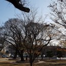 해남읍 단군전 이미지