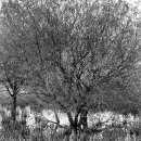 청주문화관 제1전시실 이미지