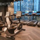 그레이짐기구필라테스