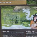 왕인박사기념관 이미지