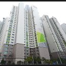 반도보라 이미지