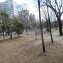 동성공원 이미지