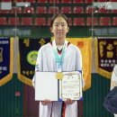 고성태권도 이미지