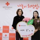 대봉인력