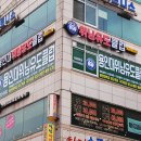 용인대 위닝 유도 클럽 이미지