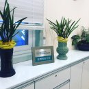 마마라정신건강의학과의원 이미지