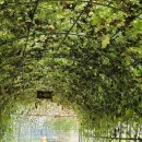 남도팜스 | 가평 자라섬 꽃축제 남도꽃정원 꽃페스타 방문 후기