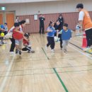 새현대유치원 이미지