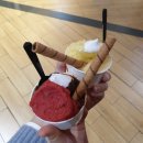 과일박사김박사 | 👀부산 카페투어🍰 (갤러리털기3탄)