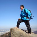 코코스타 이미지