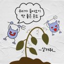 무지개농약사 이미지