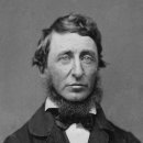 소로 소로 이미지