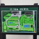 세종매점내의료기 | 청주 근교 글램핑 추천 [세종 다온숲 글램핑장] 애견동반 야외 수영장 글램핑장