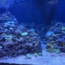 서천생태공원 이미지