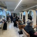 헤어볼하우스 이미지