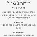 위즈앤 이미지