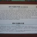 토함산 자연휴양림 이미지