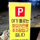 회를품은오리 이미지