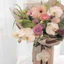 아뜰리에 몽 이미지