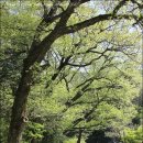 대흥여관 이미지