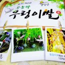 별빛촌한우 이미지