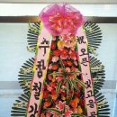 빛고을골프존