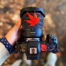 주식회사 봄광학 | 풍경사진 작가의 RF14-35mm F4 L IS USM 사용기! (feat. 함께하는 늦가을에서 초겨울까지 여행지 추천)
