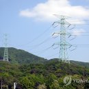 송선로-6 이미지