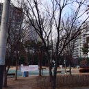 보산동 외국인관광특구 특화거리 이미지